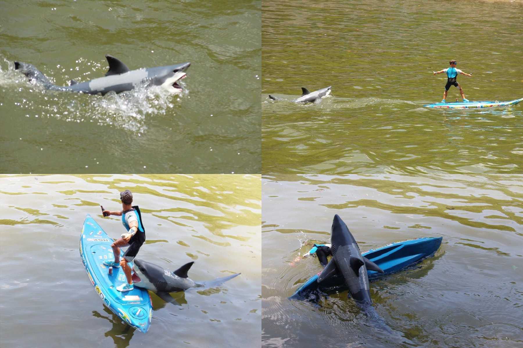 我的鲨鱼.( 开开心心吹下水就好.