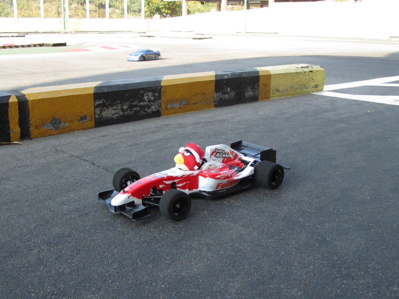 Angry Bird F1 b
