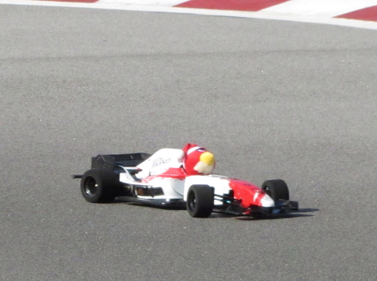 Angry Bird F1