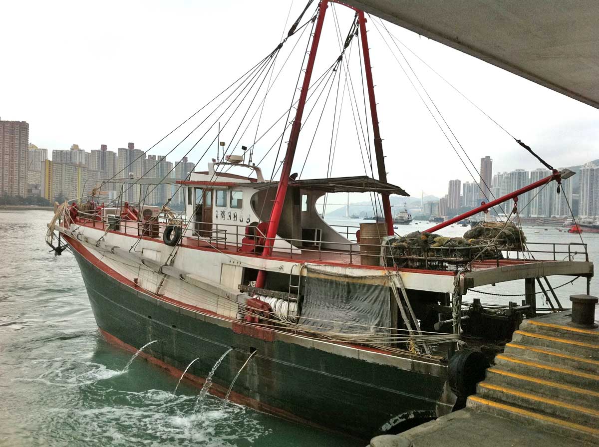 基哥虾拖 - 第3页 - 遥控船技术讨论版 - rc-遥控车rc-evolution遥控