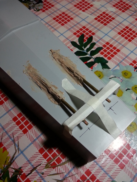 20130426_214649.jpg