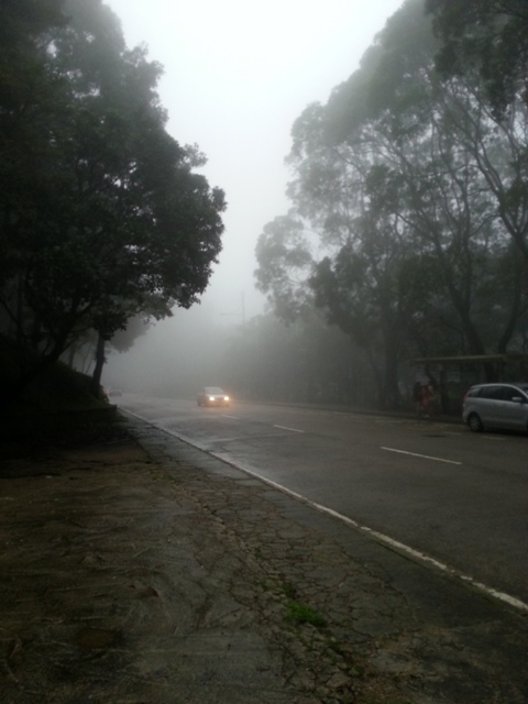 20130526_173308.jpg
