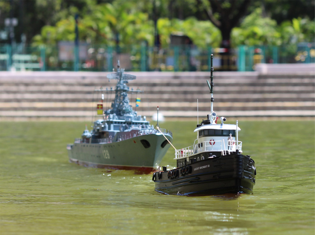 CM 795.jpg