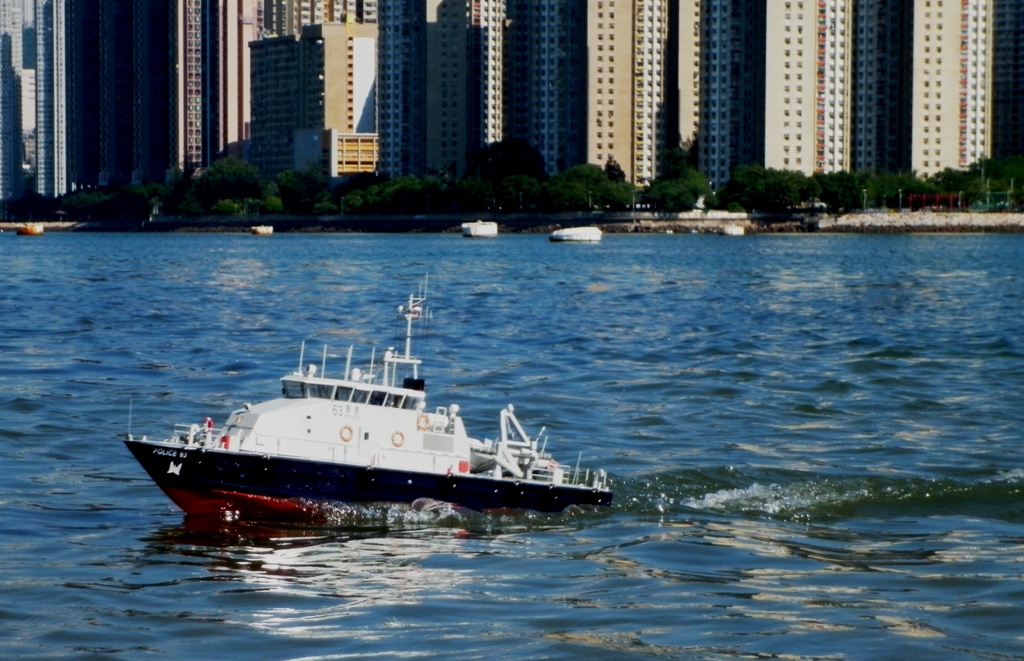 P1000823s.JPG