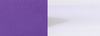40180 FASCHANGE PURPLE.jpg
