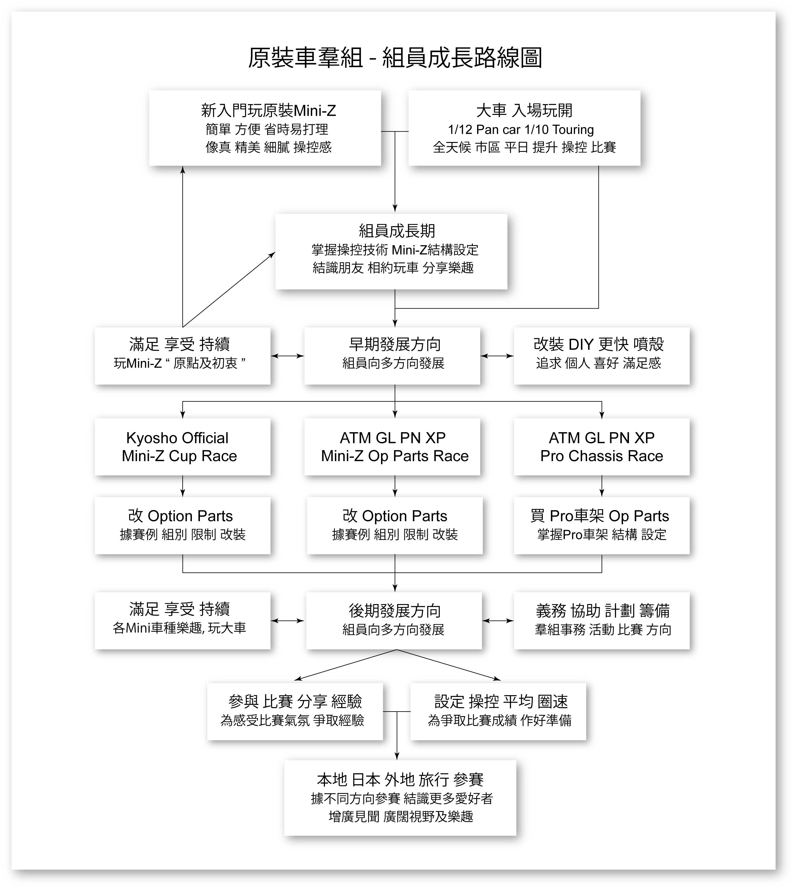 Mini-Z Group flowchart.jpg