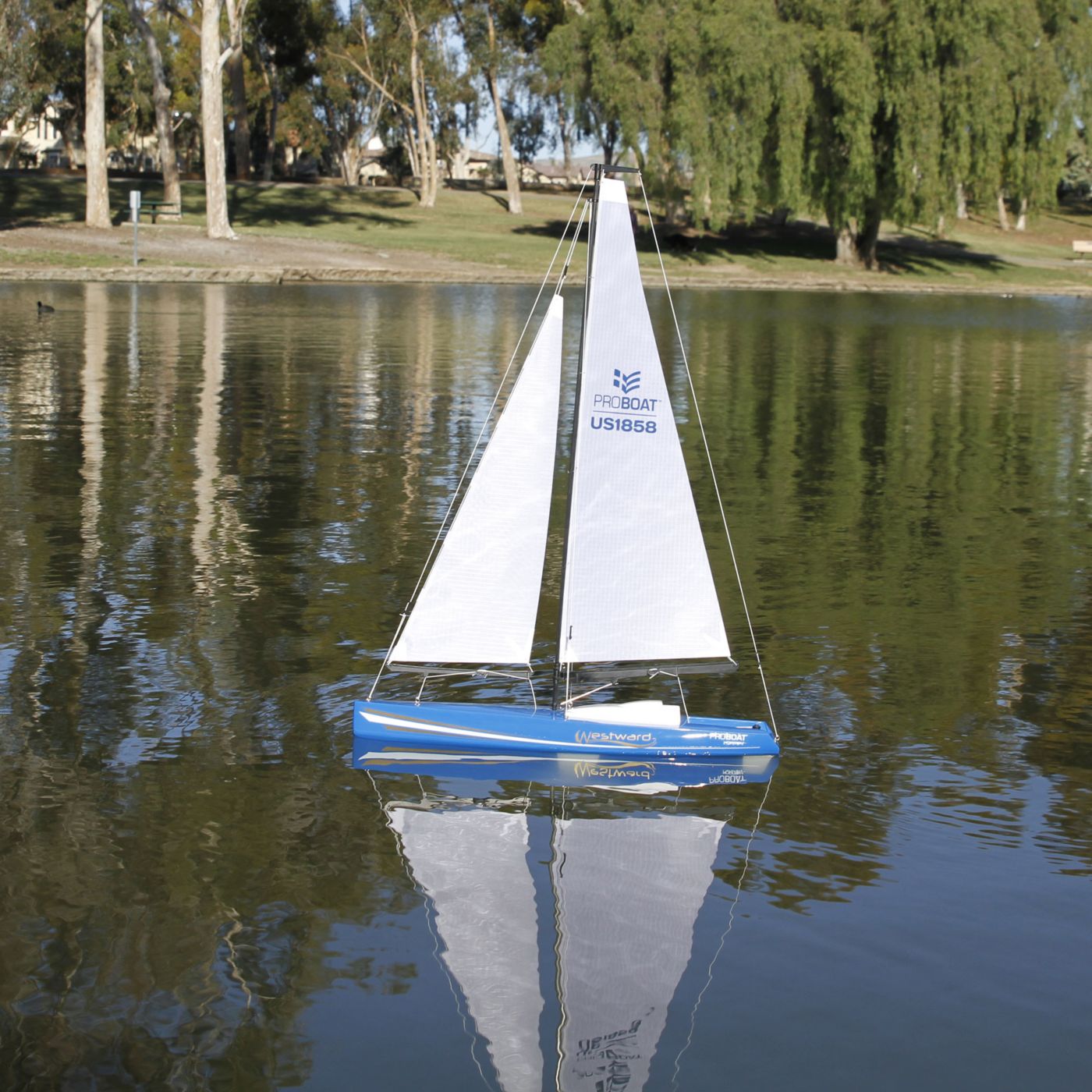 PRB07002_a2.jpg