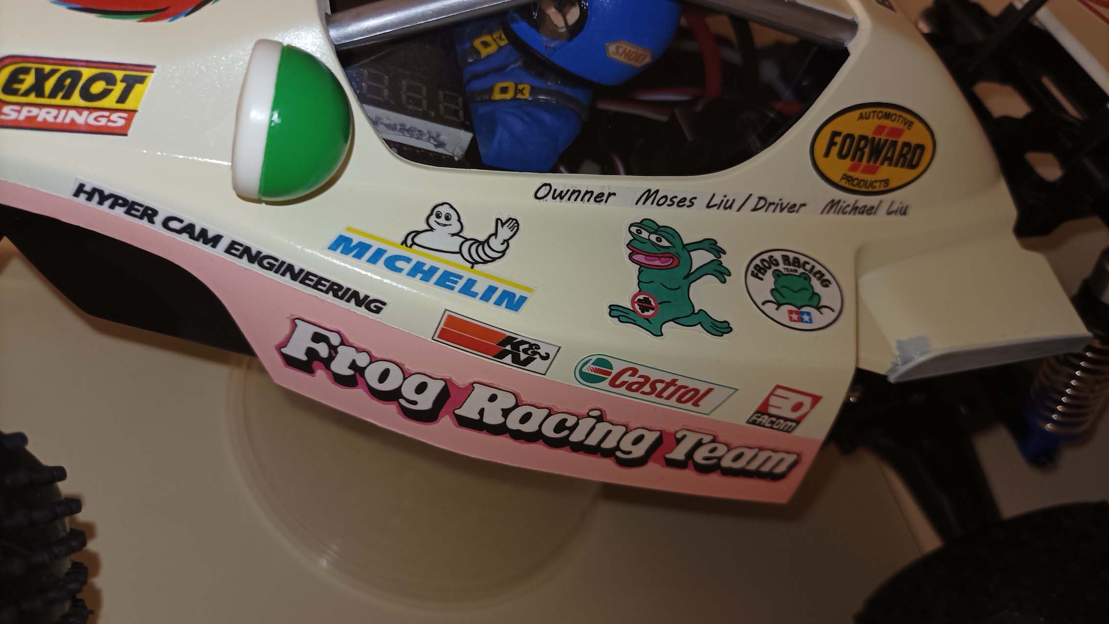 Frog 02.jpg