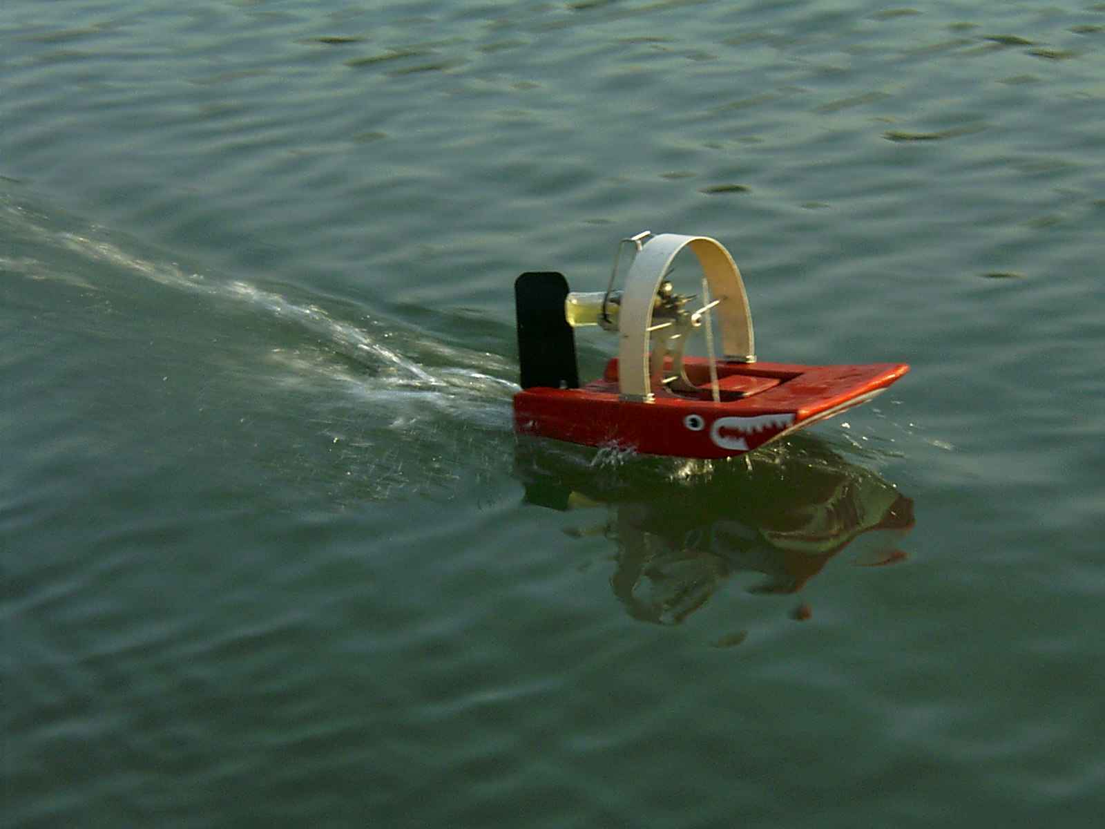 分享:城门河玩风动艇 其他人的合集 - 放船活动,活动后感及活动相片