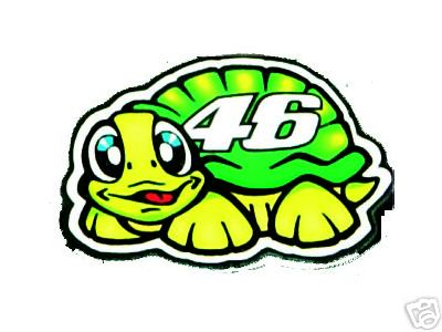 turtle.jpg