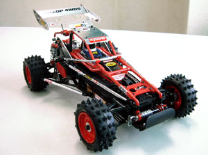 7-gallop_189.jpg