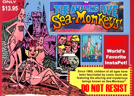 sea_monkeys2.jpg