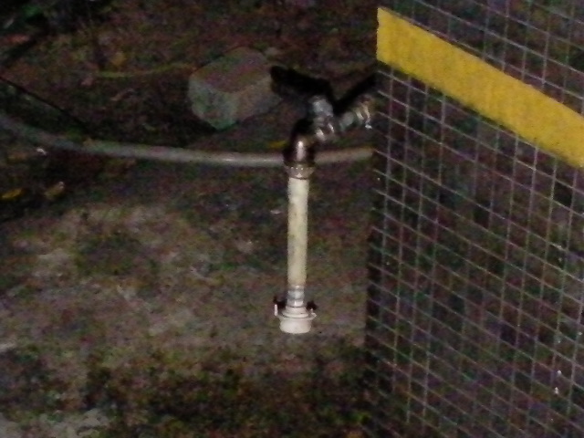 SANY0043.JPG