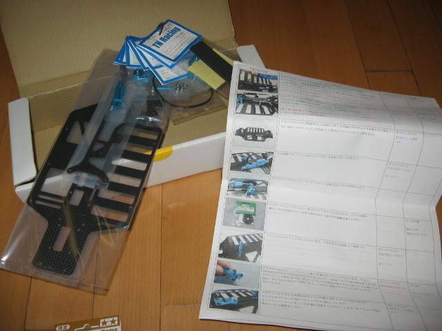 insect specimen 146.jpg