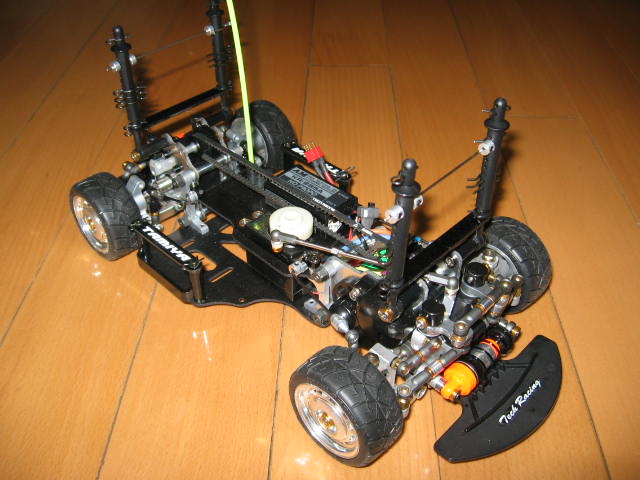 insect specimen 131.jpg