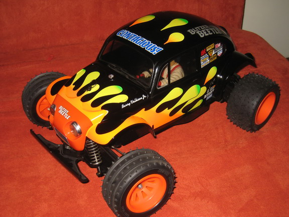 Beetle-1.jpg