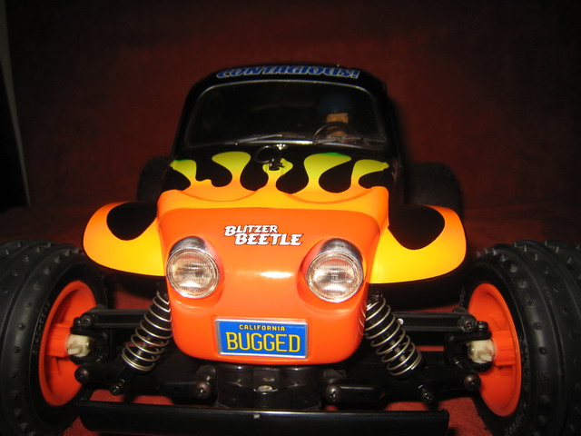 Beetle-2.jpg