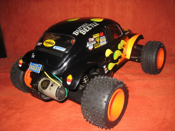 Beetle-3.jpg