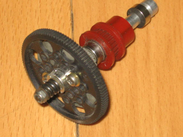 insect specimen 252.jpg