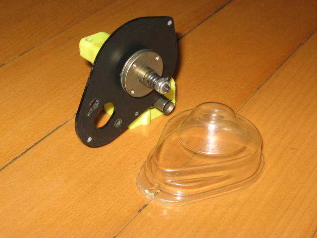 insect specimen 324.jpg