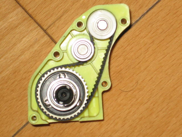 insect specimen 323.jpg