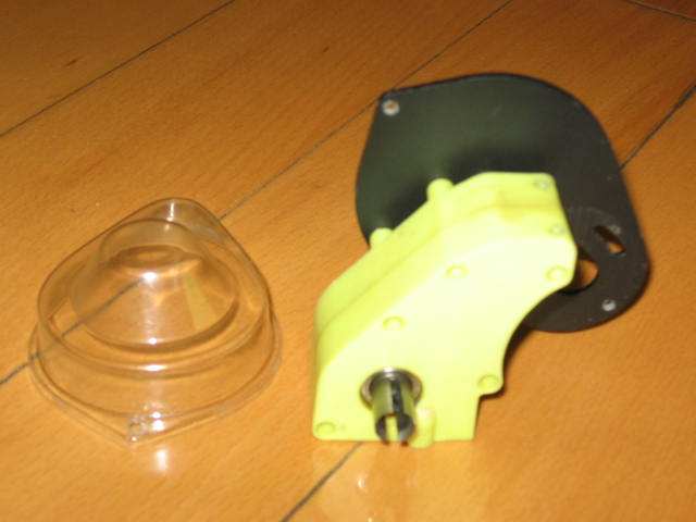 insect specimen 325.jpg