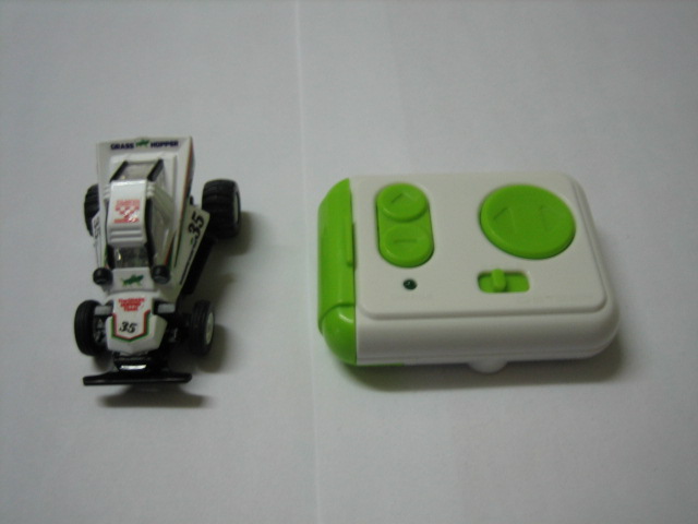 來多張蚱蜢   (請按圖片放大)