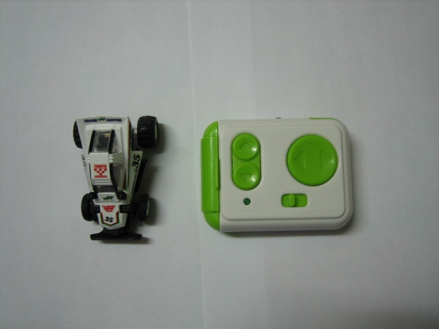 蚱蜢一架   (請按圖片放大)